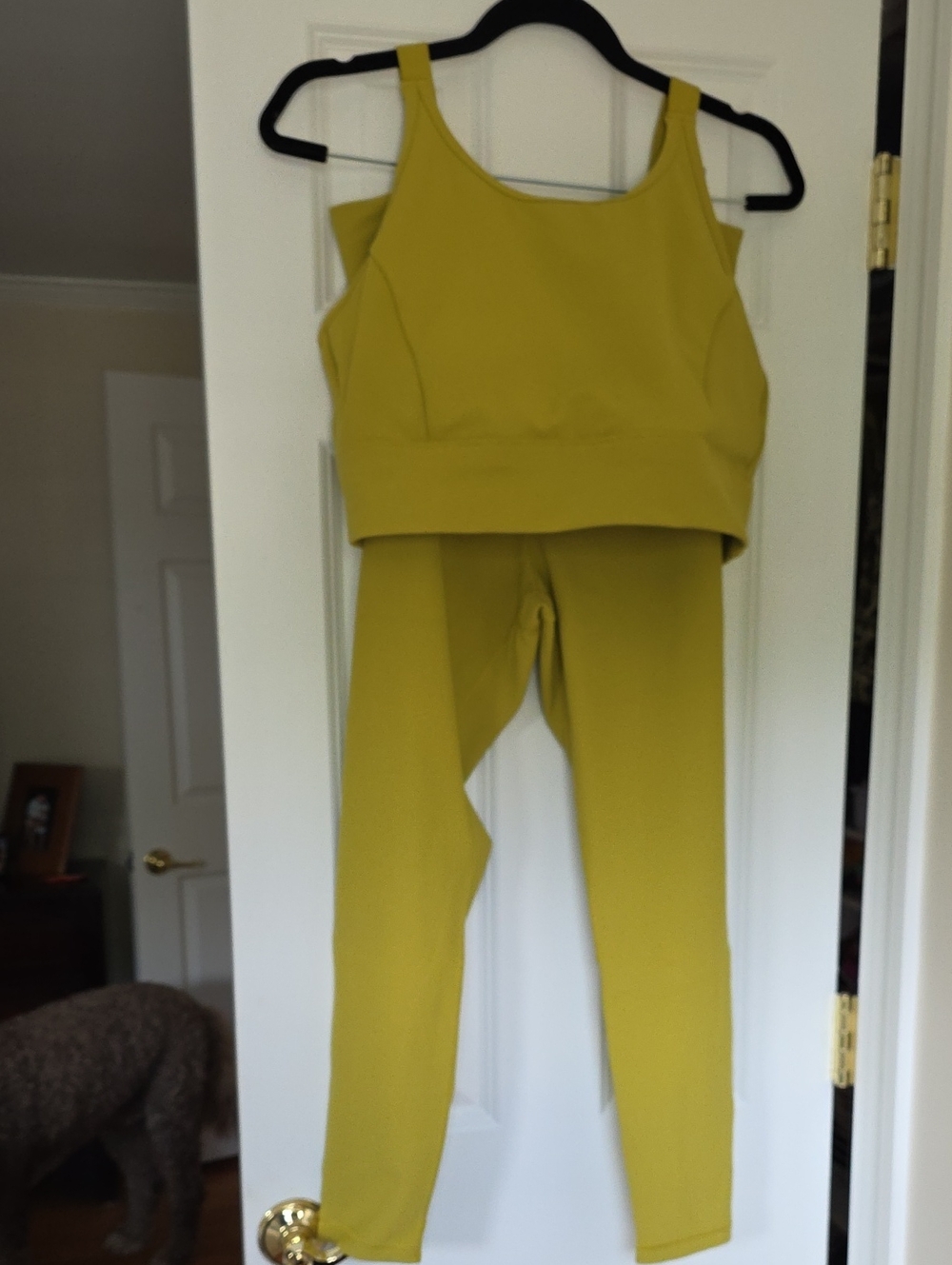 Athletic Set, XL: Bra Top AND Leggings By Calia.